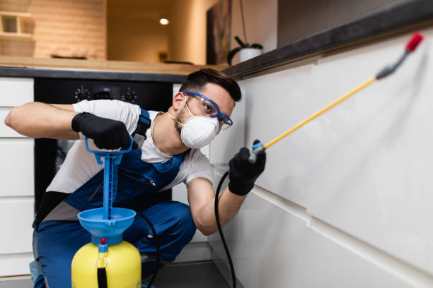 Flea Control Services in Magalia, CA