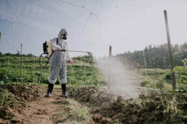 Pest Prevention Services in Magalia, CA