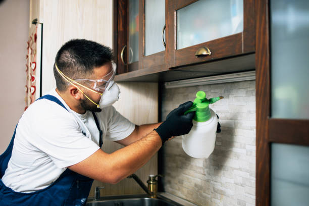 Best Wildlife Control Services  in Magalia, CA
