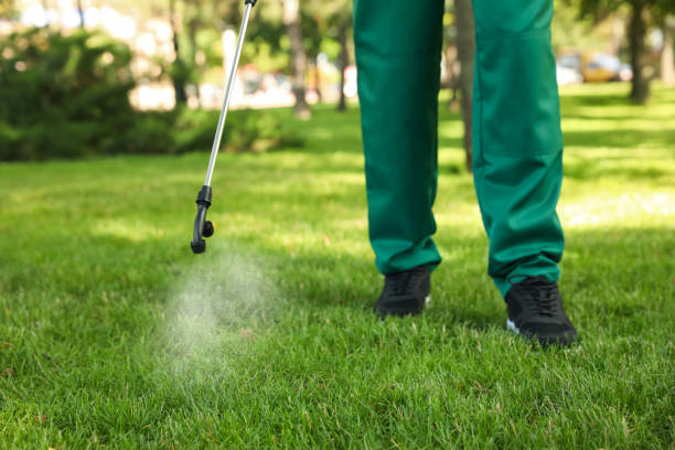 Best Best Pest Control Companies  in Magalia, CA