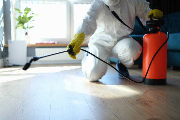 Professional Pest Control in Magalia, CA