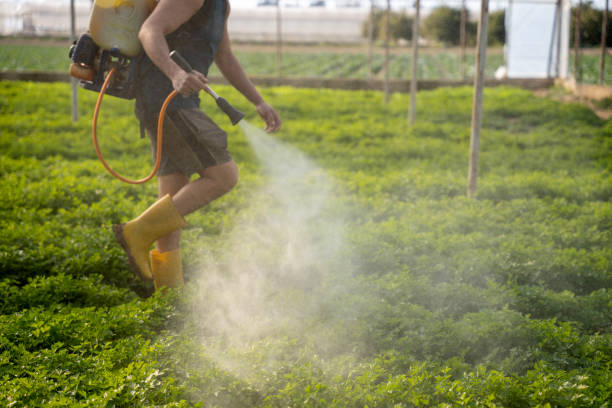 Best Residential Pest Control  in Magalia, CA