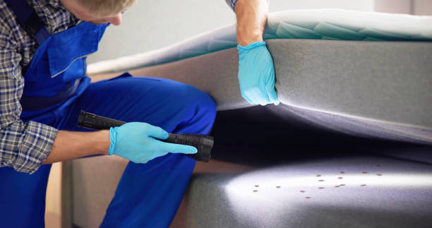 Best Affordable Pest Control Services  in Magalia, CA