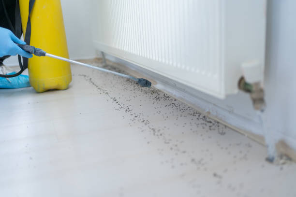 Best Bed Bug Extermination  in Magalia, CA